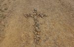 Walk, Tom, Walk, (Want lopen met rugzak, ni makkelijk)